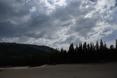 DSC_2972 (Large).JPG